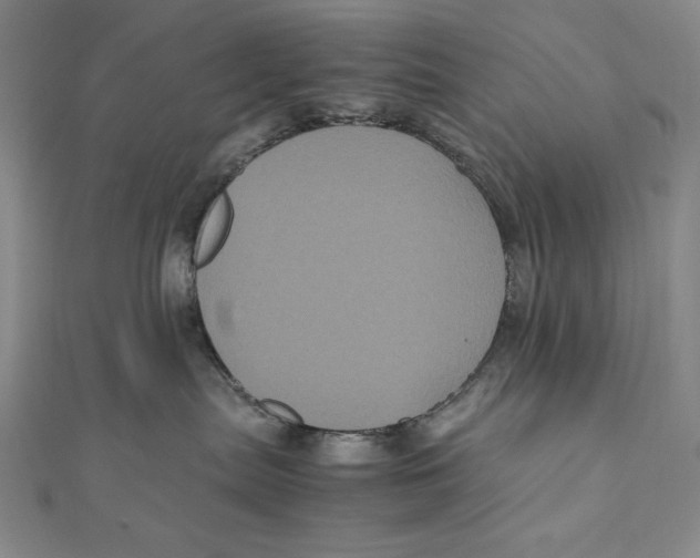 X0000111120287200907281036