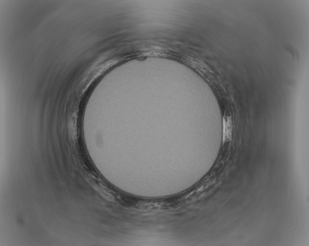 X0000111120291200907281035