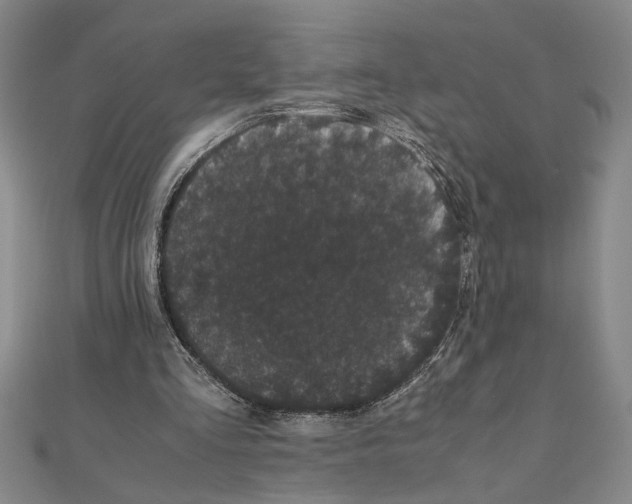 X0000111120293200907281035