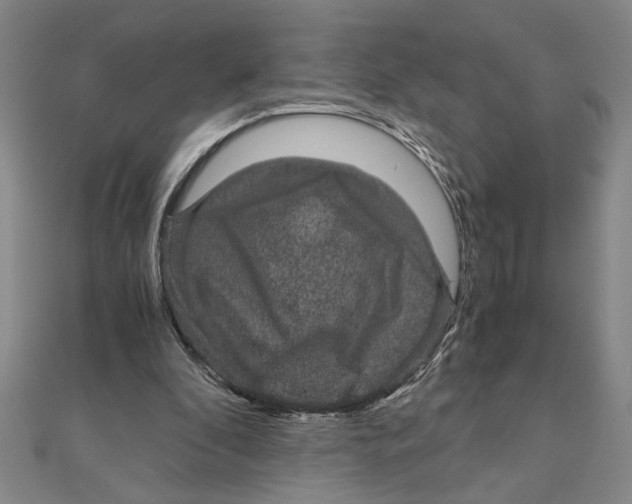 X0000111120296200907281035