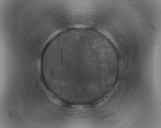 X0000111120297200907281035