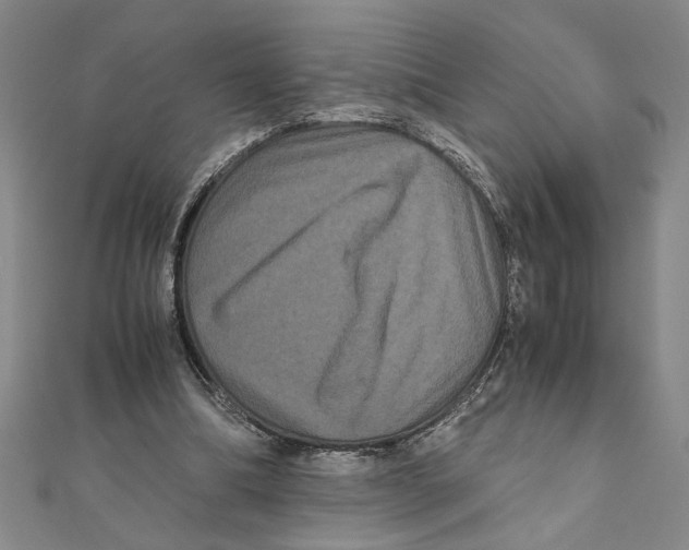 X0000111120298200907281035
