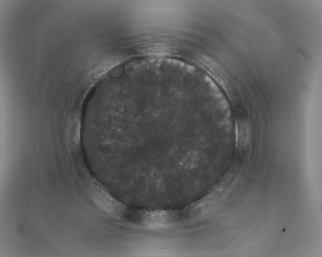 X0000111120301200907281035