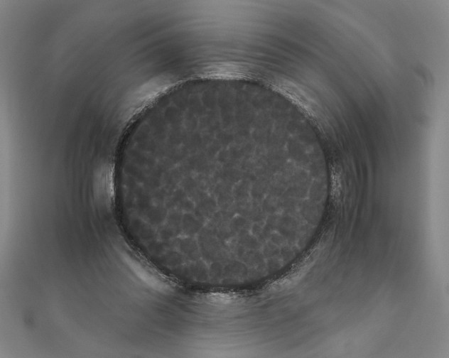 X0000111120302200907281035