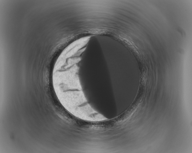 X0000111120303200907281035