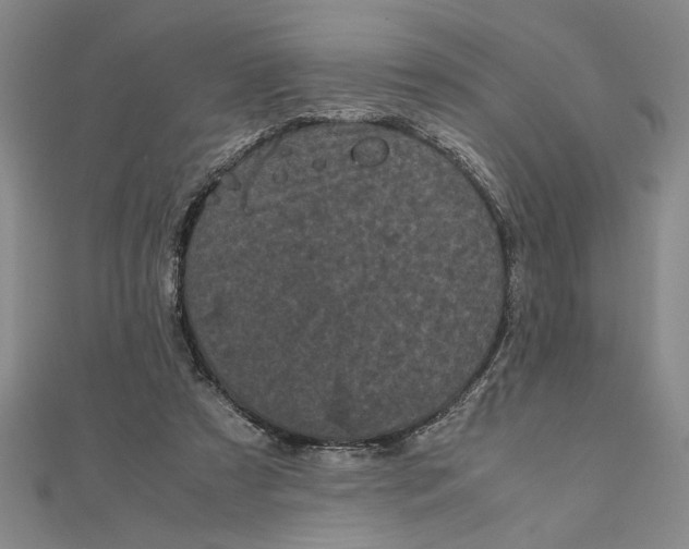 X0000111120305200907281035