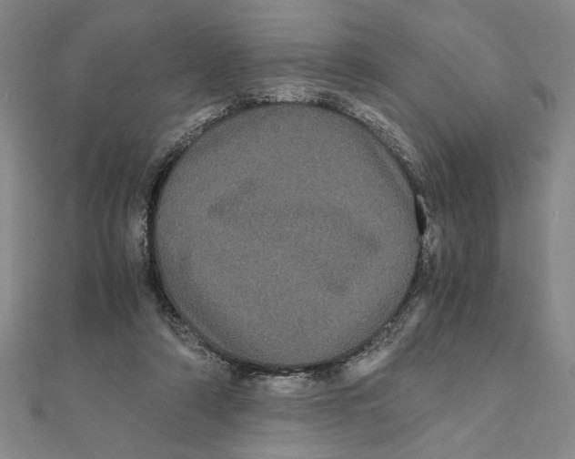 X0000111120306200907281035