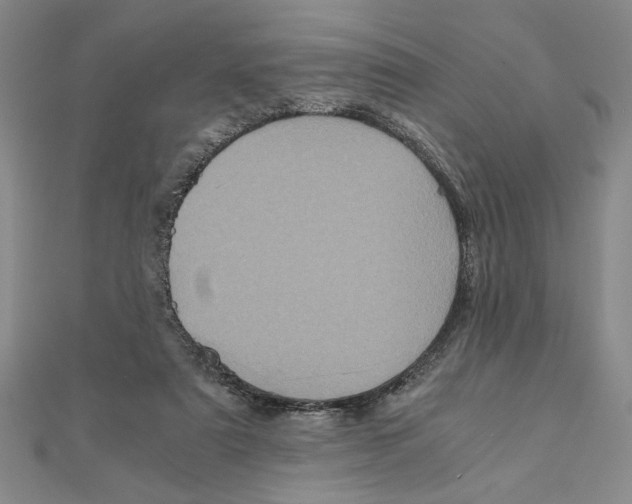 X0000111120307200907281035