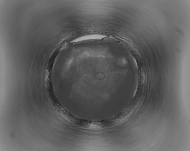 X0000111120308200907281035