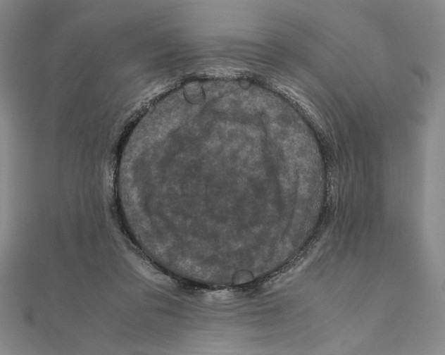 X0000111120309200907281035