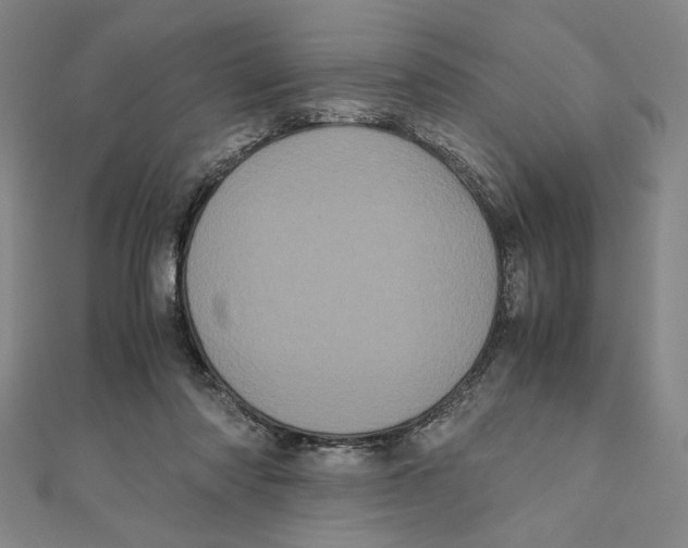 X0000111120310200907281035