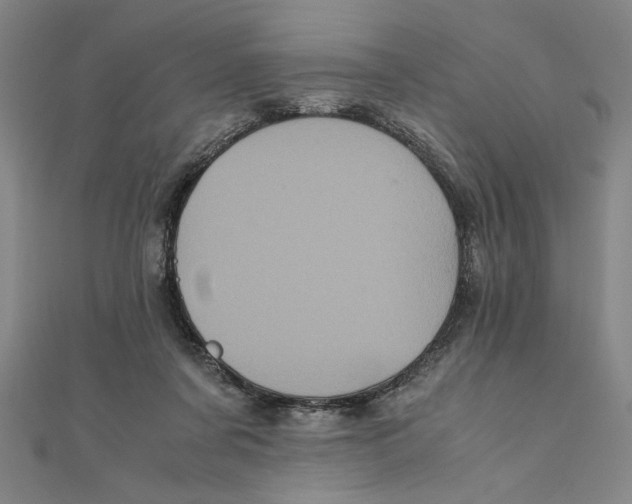 X0000111120311200907281035