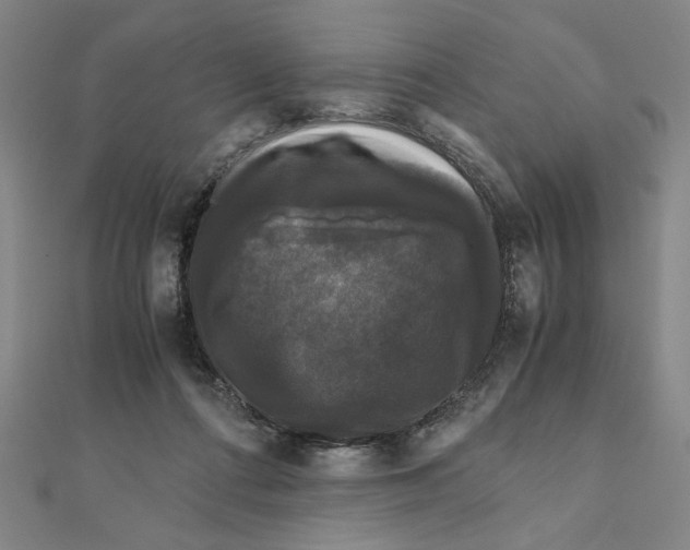 X0000111120312200907281034