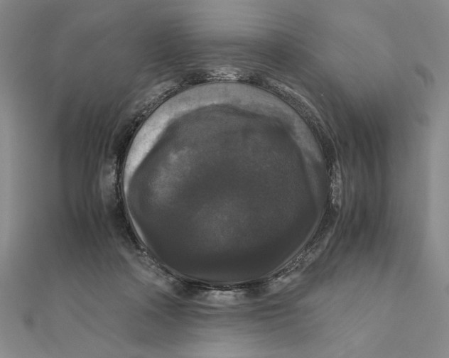 X0000111120314200907281034