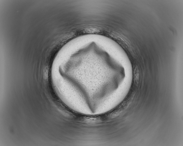 X0000111120315200907281034