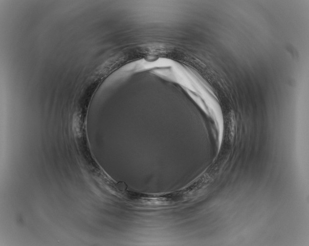X0000111120316200907281034