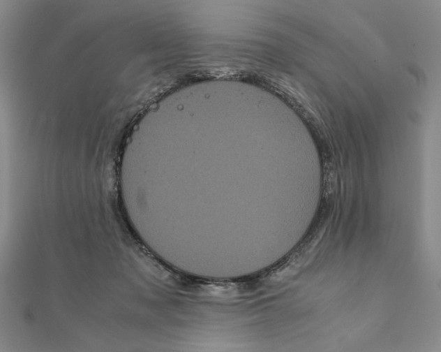 X0000111120317200907281034