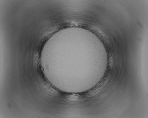 X0000111120318200907281034
