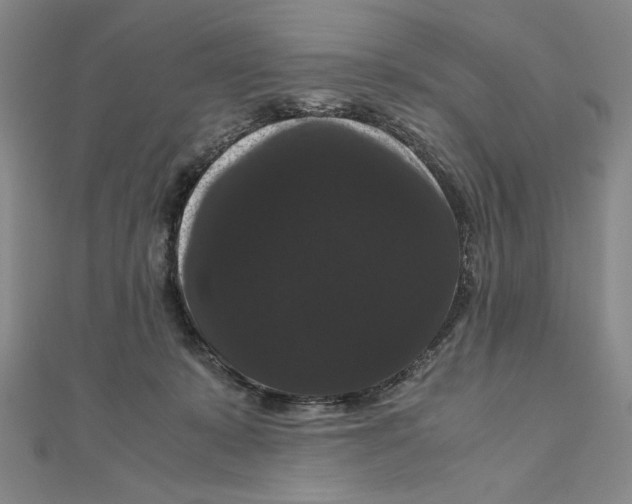 X0000111120319200907281034