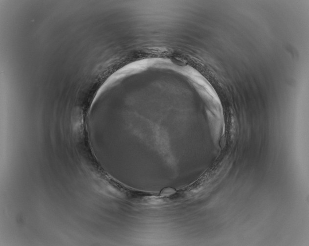 X0000111120320200907281034
