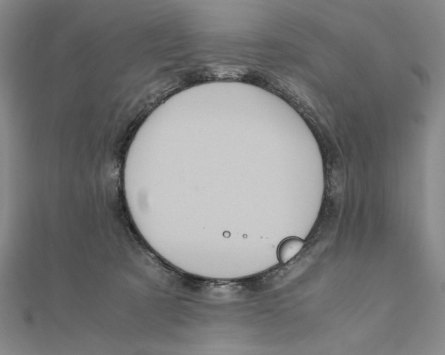 X0000111120321200907281034
