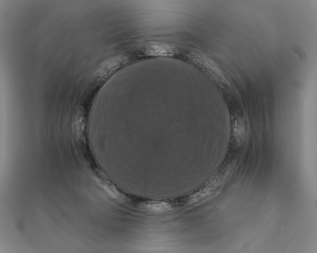 X0000111120322200907281034