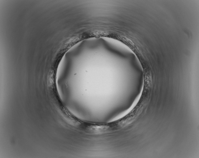 X0000111120323200907281034