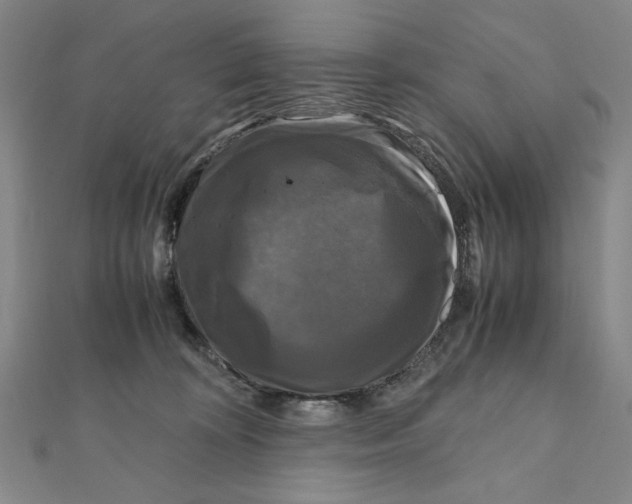 X0000111120324200907281034