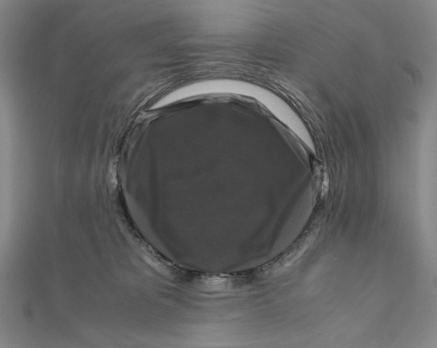 X0000111120325200907281034