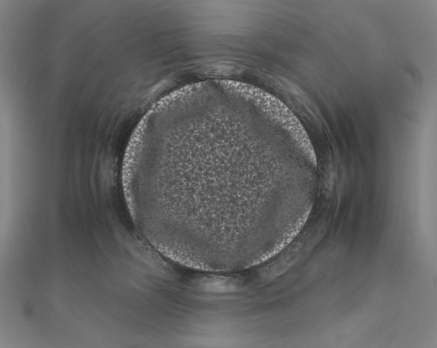 X0000111120326200907281034