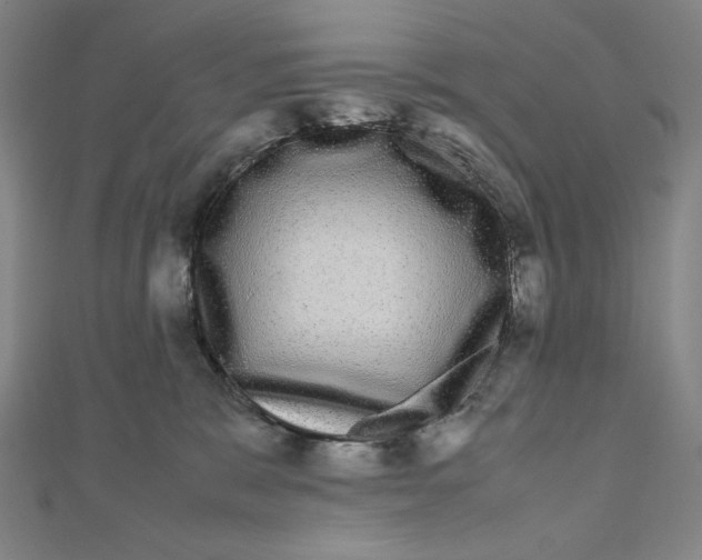X0000111120327200907281034