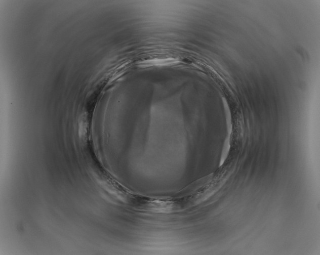 X0000111120328200907281034