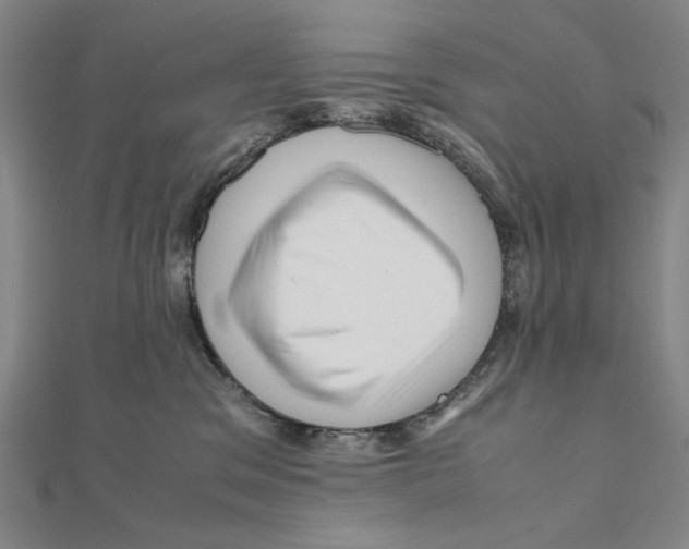 X0000111120329200907281034
