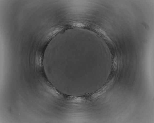 X0000111120330200907281034