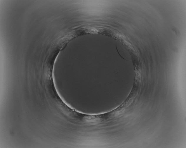 X0000111120331200907281034