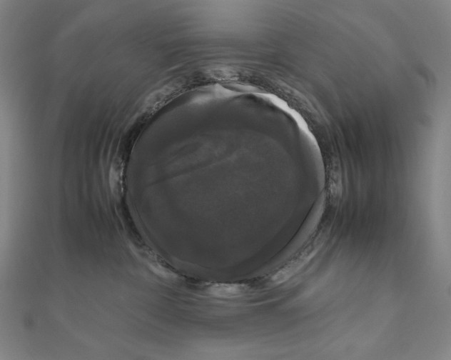 X0000111120332200907281034