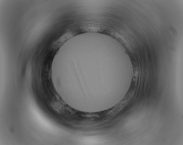 X0000111120334200907281034