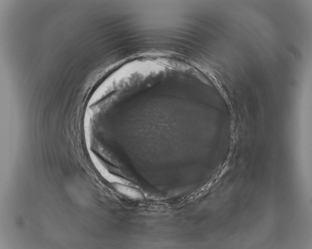 X0000111120337200907281033