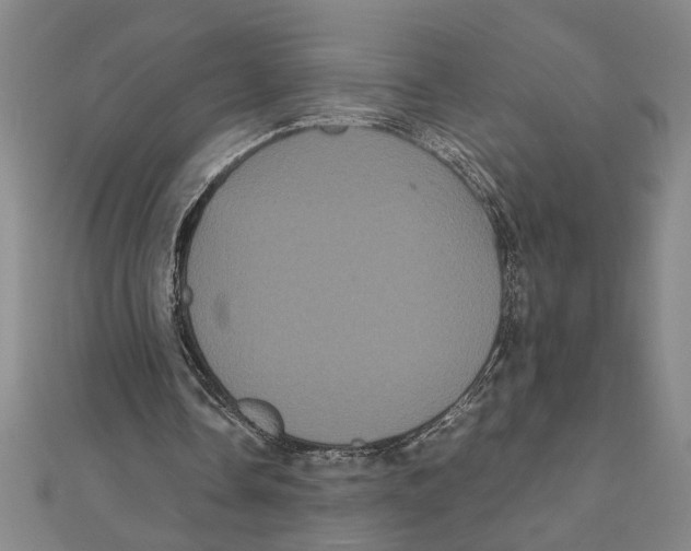 X0000111120338200907281033
