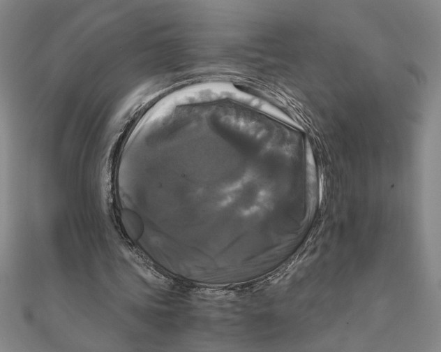 X0000111120339200907281033