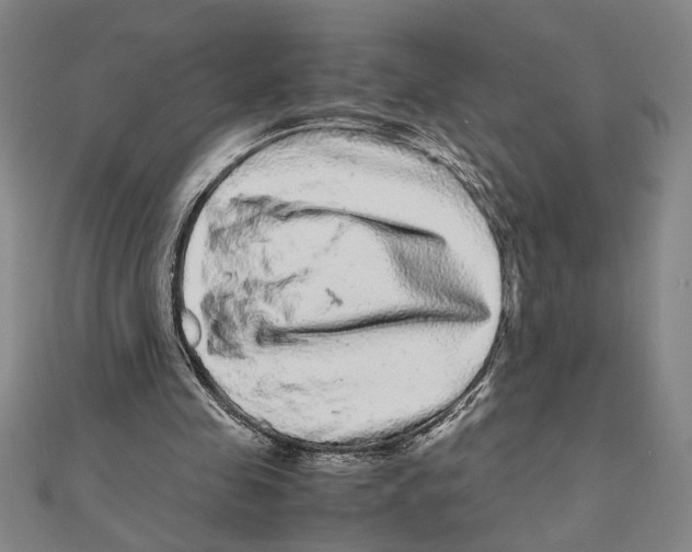 X0000111120341200907281033