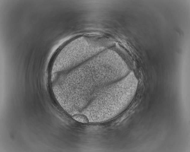 X0000111120342200907281033