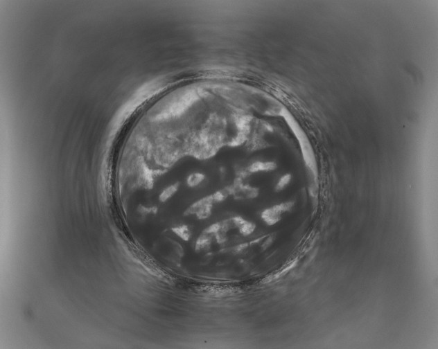 X0000111120343200907281033