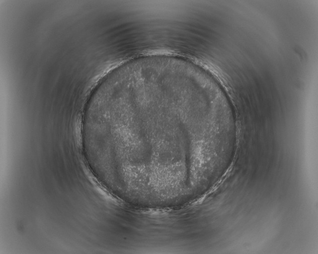 X0000111120345200907281033