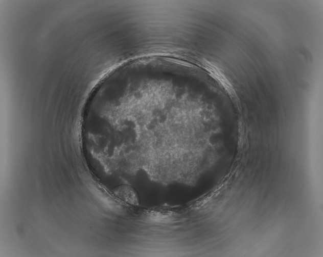 X0000111120346200907281034