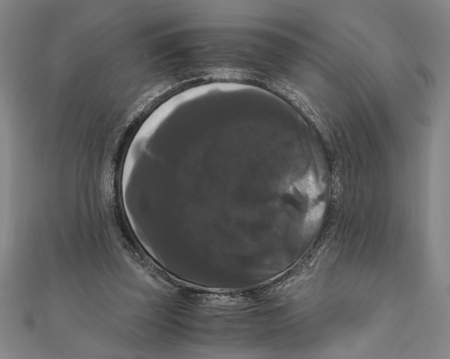 X0000111120347200907281034