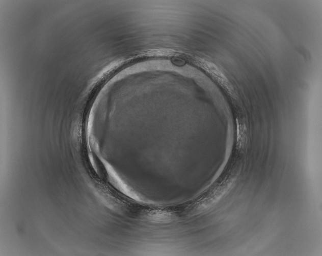 X0000111120348200907281034
