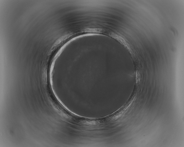 X0000111120349200907281034