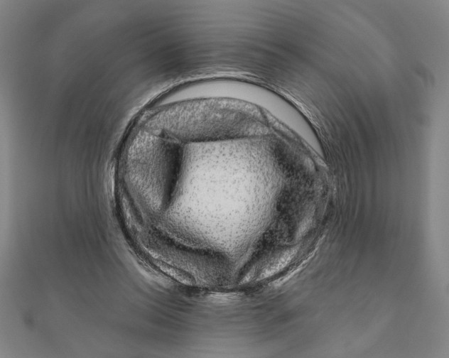 X0000111120350200907281034