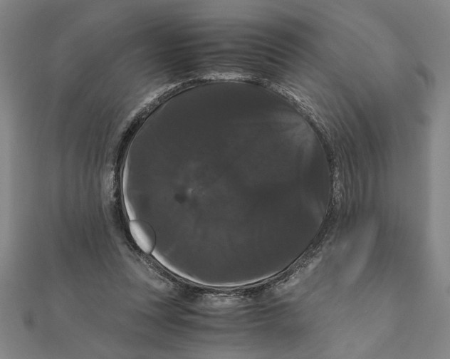 X0000111120351200907281034